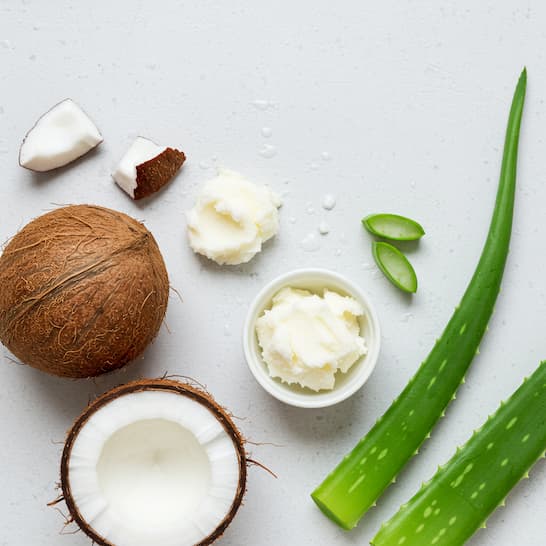 A collection of fresh, botanical ingredients like coconut, shea butter, and aloe vera, symbolizing safe and natural conditioner alternatives.